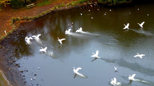 P1150470