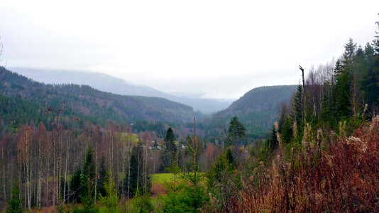 Telemark (59)