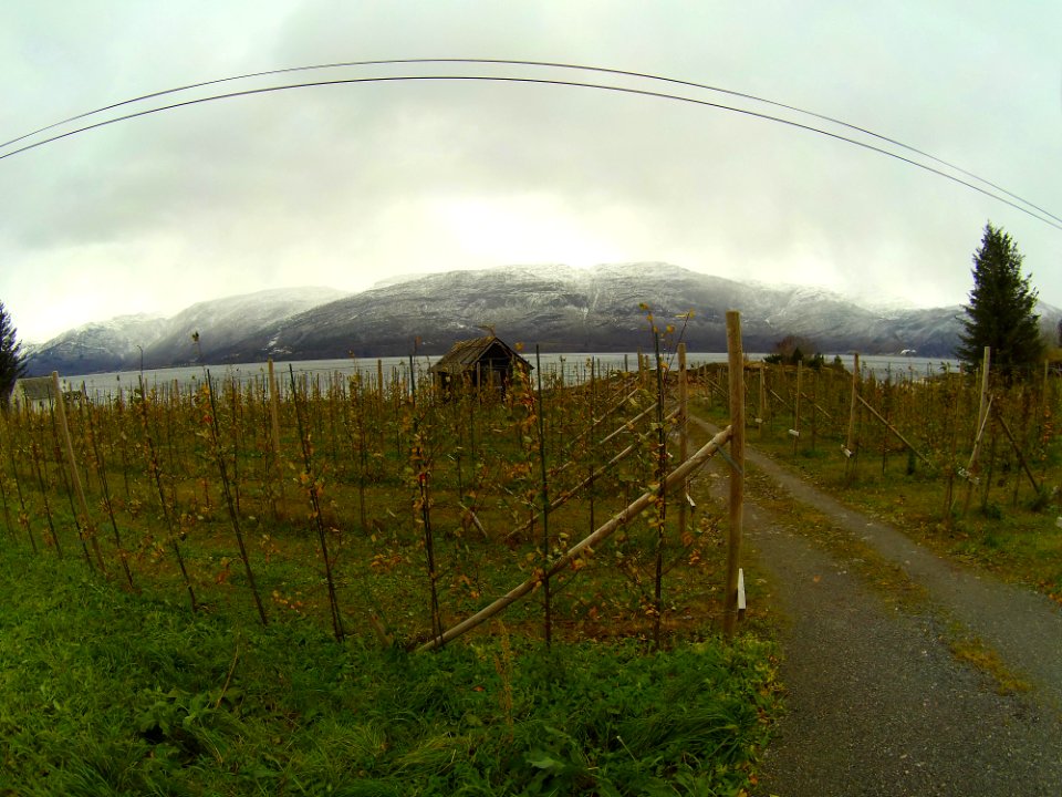 Telemark (14)