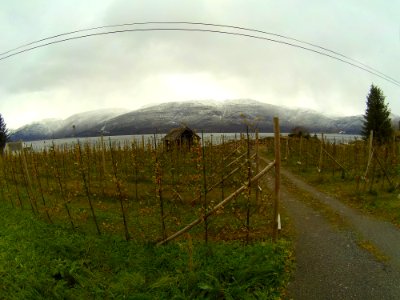 Telemark (14)