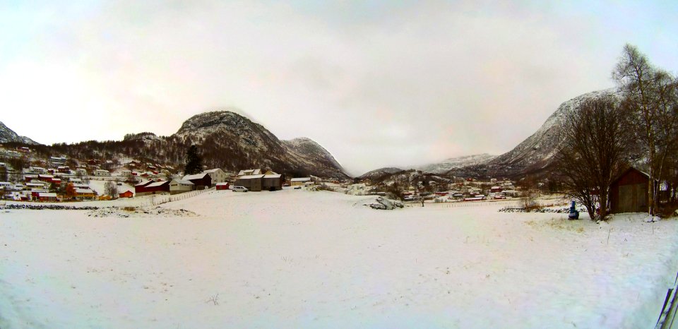 pano 11