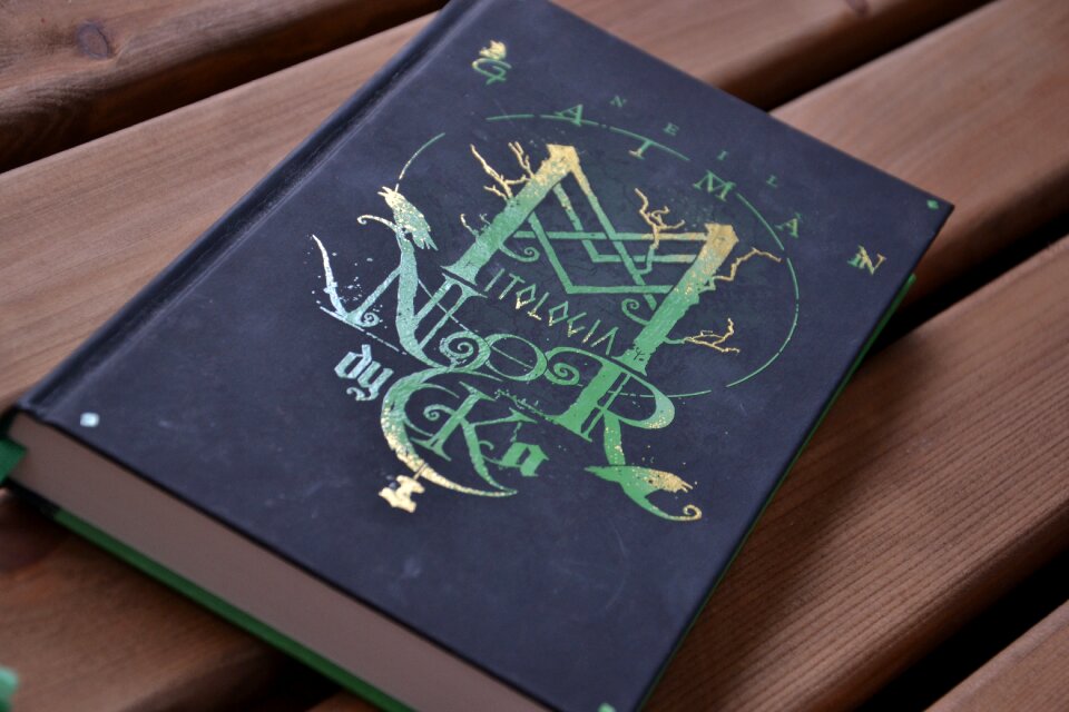 Book reading nordic mythology