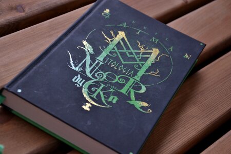 Book reading nordic mythology