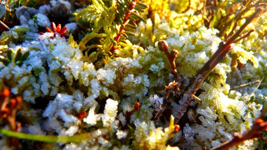 Mont Tromso (26)