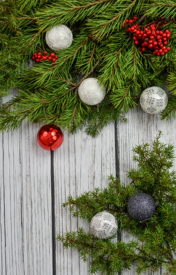 Decoration pine xmas