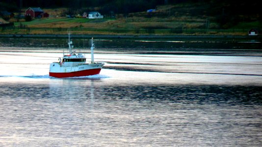 Navres Tromso (69)