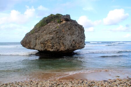 Barbados nature rock