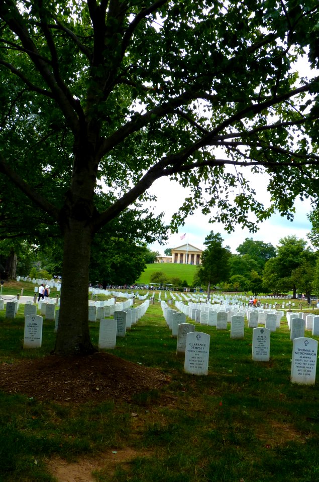 Washington (79)