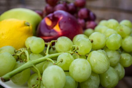 Fruits healthy green apple