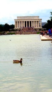 Washington (60)