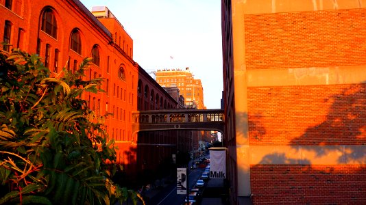 New-york (249)