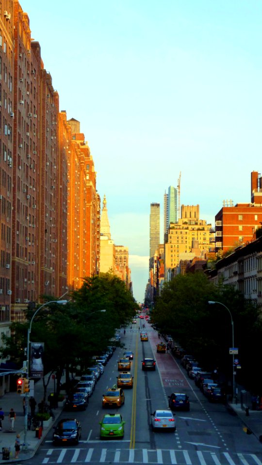 New-york (246)