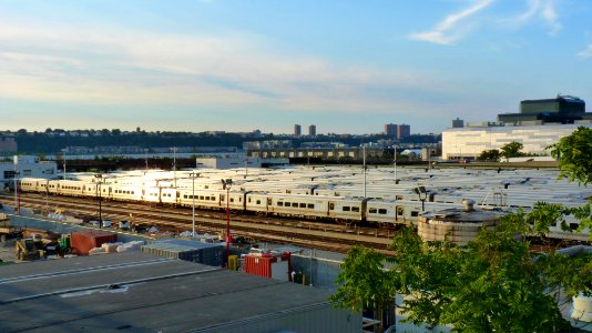 New-york (240)