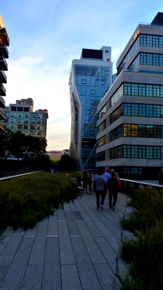 New-york (245)