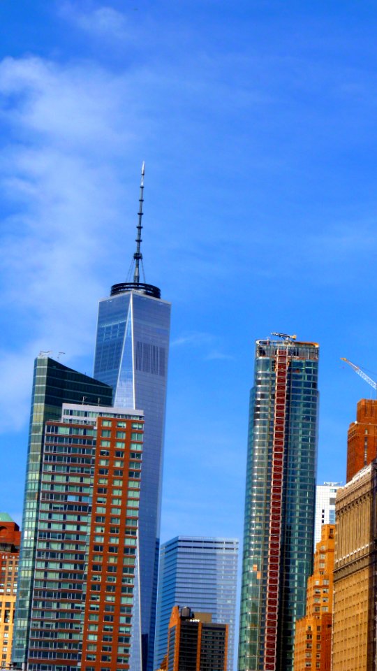 New-york (212)