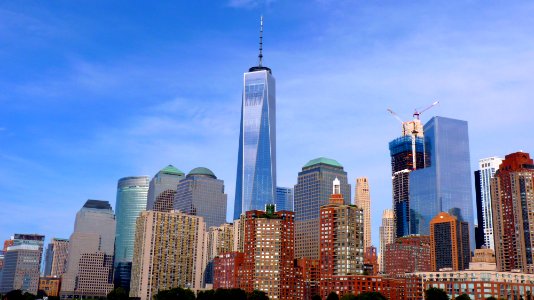 New-york (215)