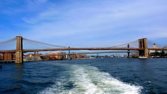 New-york (204)