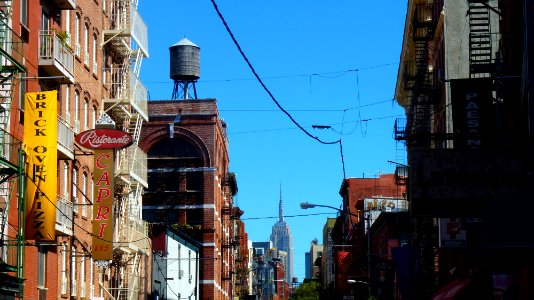 New-york (93)