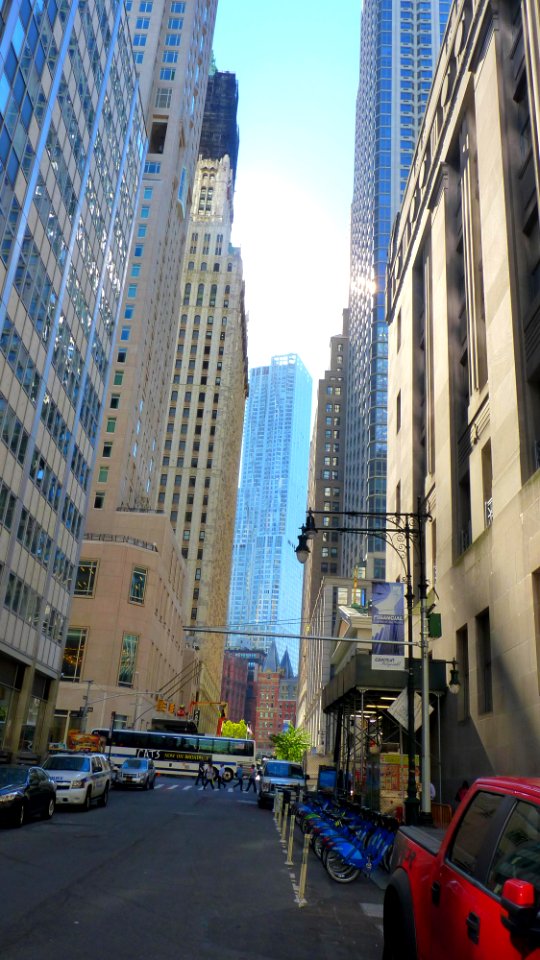 New-york (81)
