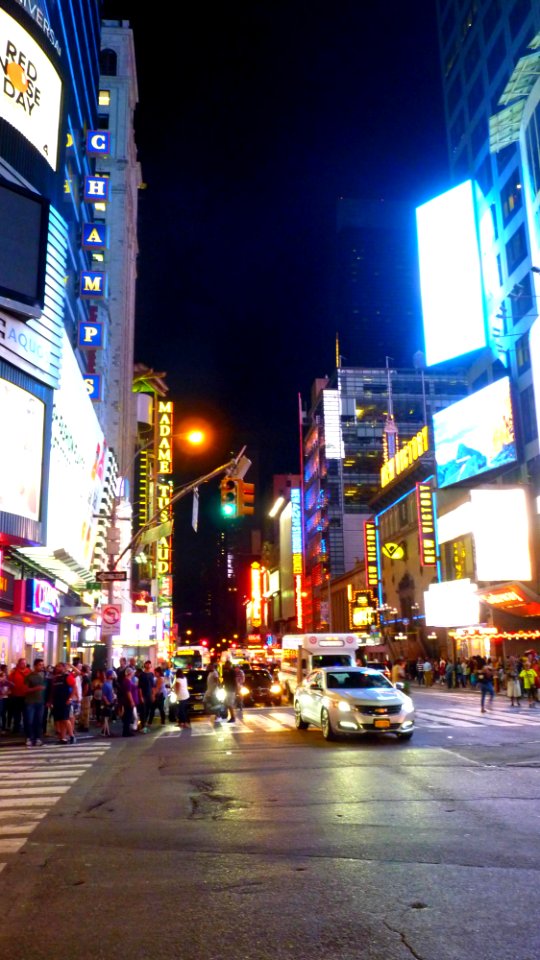New-york (168)