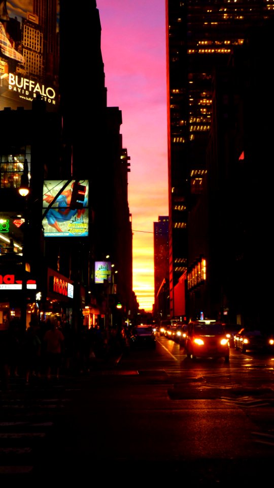 New-york (151)