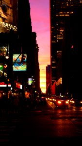 New-york (151)