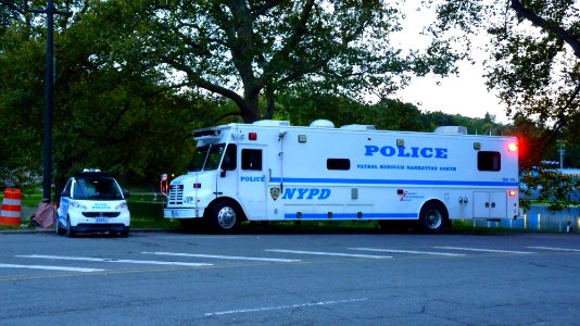 New-york (150)