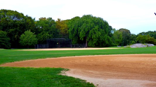 New-york (149)