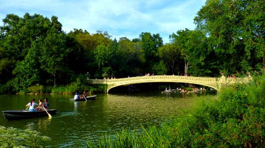 New-york (138)