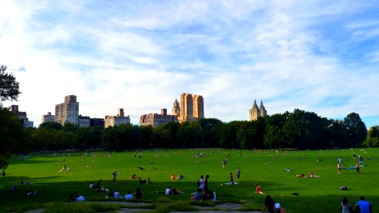 New-york (133)
