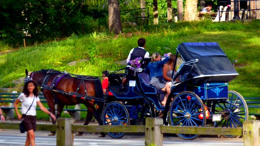 New-york (131)