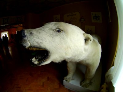 31-07 Pyramiden (68)