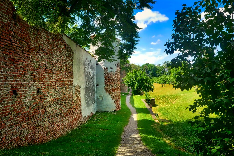Wood plant city wall