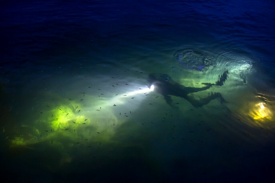 Night diving rhine river diving