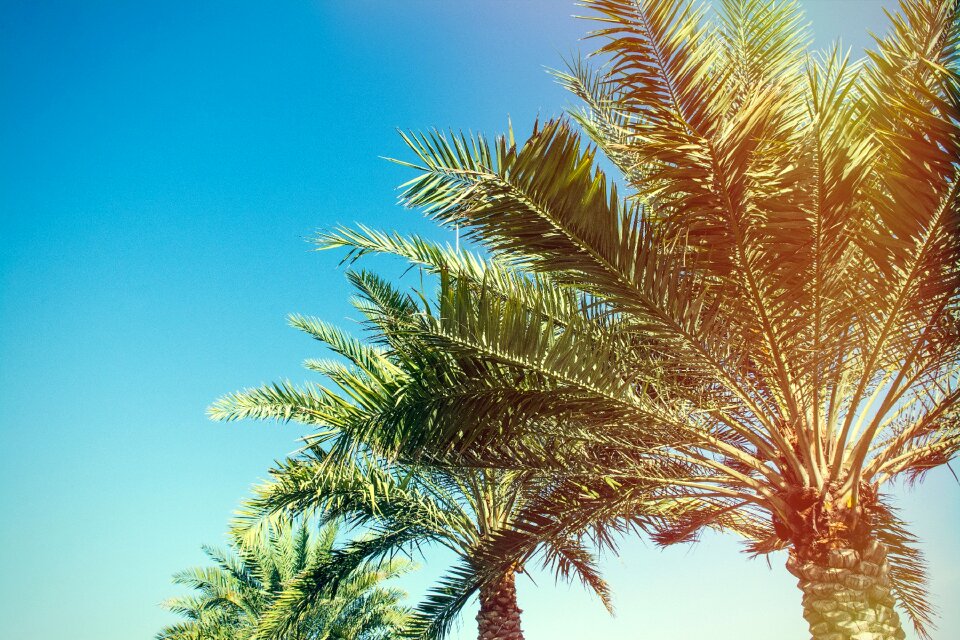 Nature blue sky