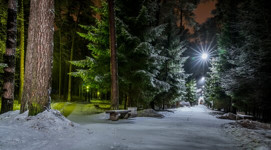 Night lights park photo