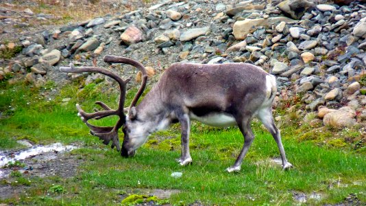 23-07 (44) Longyearbyen