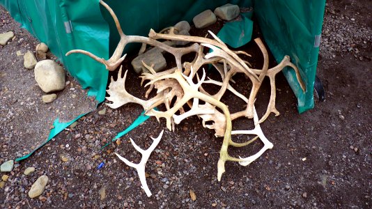 23-07 (22) Longyearbyen