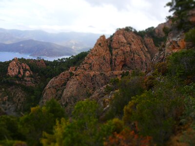 Forest valley mountain road