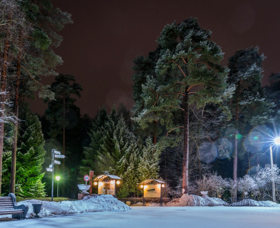Snow night lights
