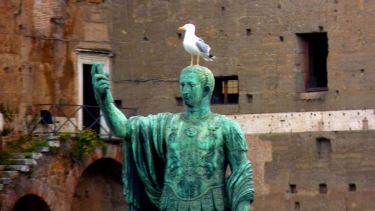 Rome (25)