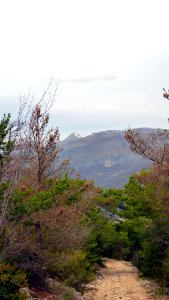 P1110764