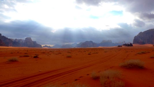 Jour 11 - Wadi Rum (9)