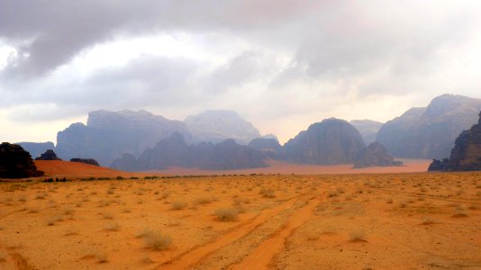 Jour 11 - Wadi Rum (1)