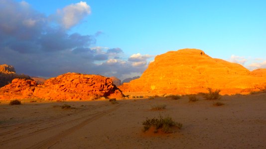 Jour 10 - Wadi Rum (37)