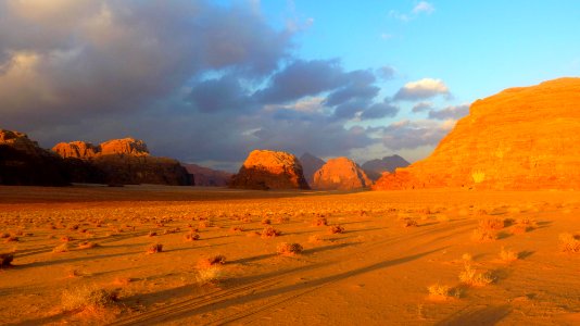 Jour 10 - Wadi Rum (38)