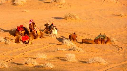 Jour 10 - Wadi Rum (31)