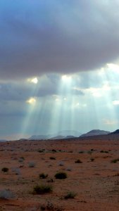 Jour 10 - Wadi Rum (29)