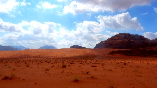 Jour 10 - Wadi Rum (22)
