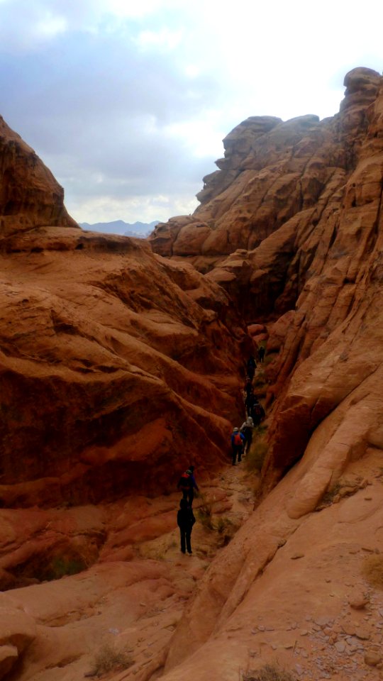Jour 10 - Wadi Rum (16)
